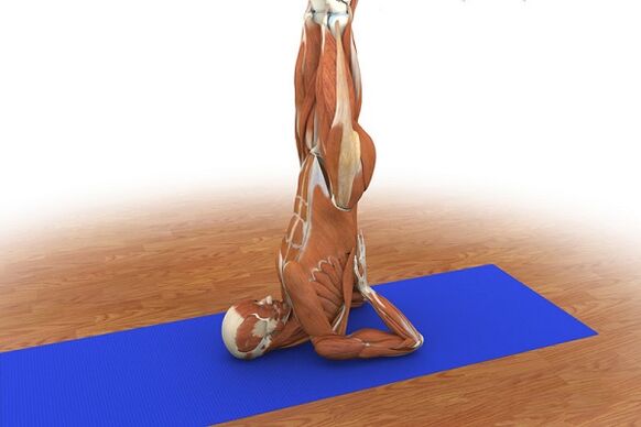 Упражнение на потенцию «Берёзка».